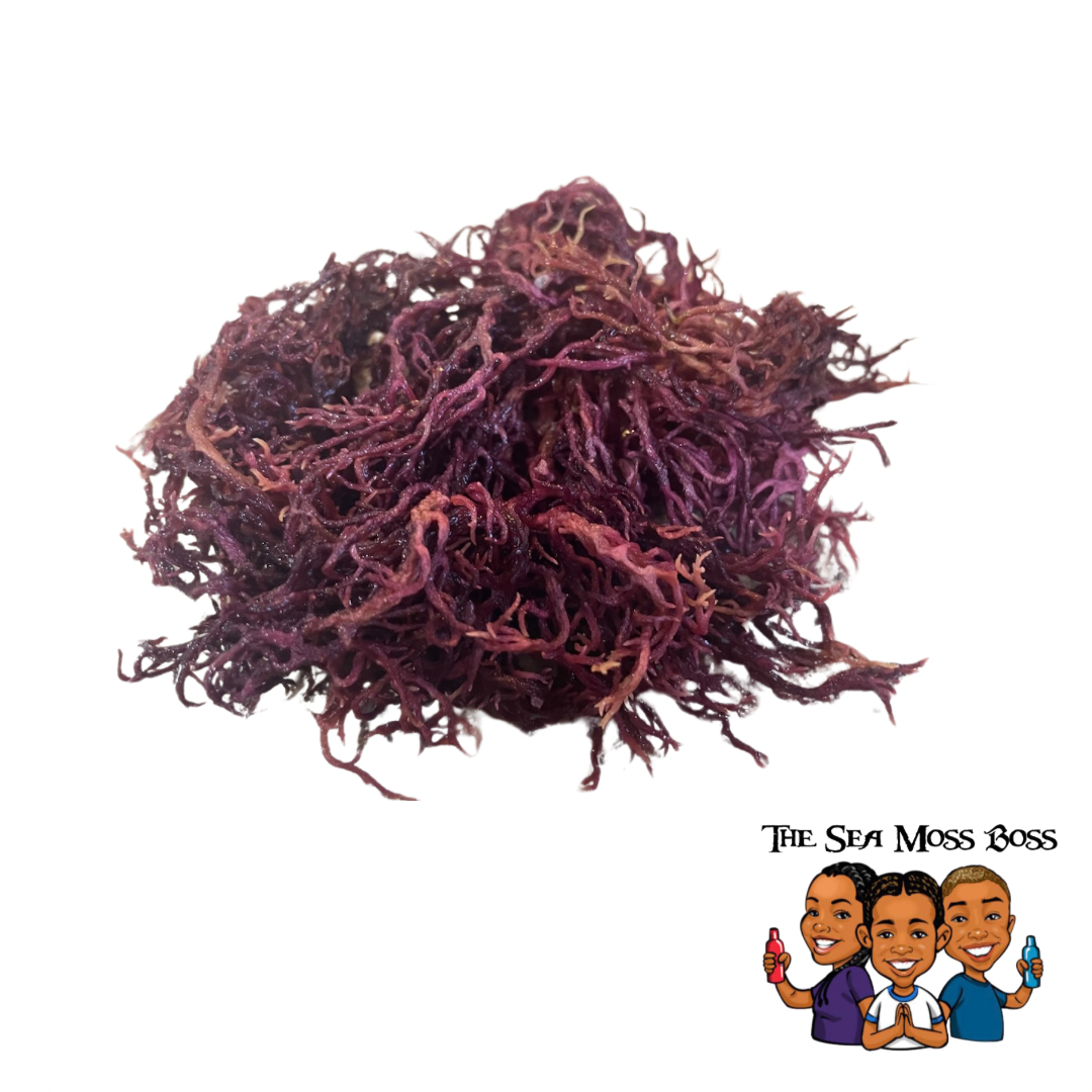 Raw Wild Crafted Sea Moss