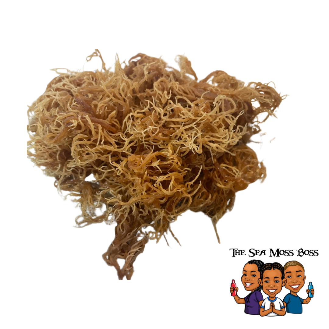 Raw Wild Crafted Sea Moss